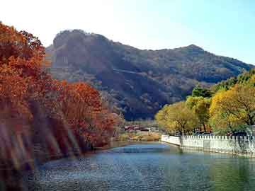 新澳天天开奖资料大全旅游团，隐藏泛目录